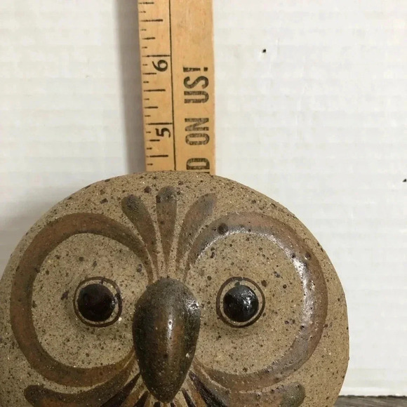 Mexican  Tonala Owl - Picture 9 of 10
